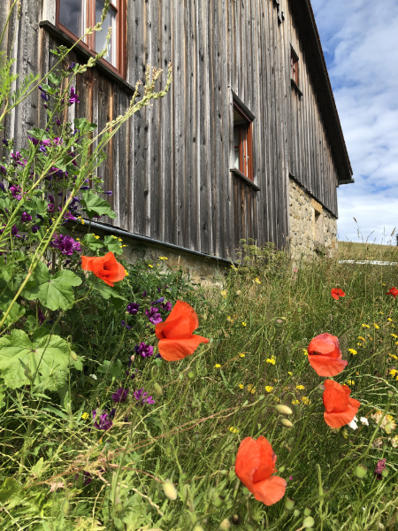 ferienhaus isabelle ferienwohnungen zittauer gebirge