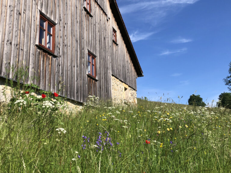 ferienhaus isabelle ferienwohnungen zittauer gebirge